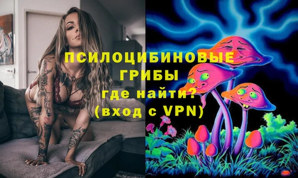 jwh Абаза