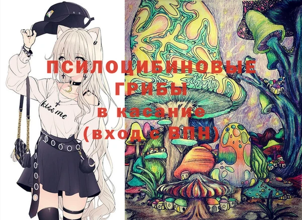 гидра Осинники